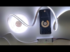 ซีรี่ย์ไฟสตรีป LED ที่ได้รับการรับรอง RoHS ในความยาว 6.5FT ด้วยสีขาวอบอุ่น