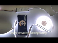 ไฟแถบซัง